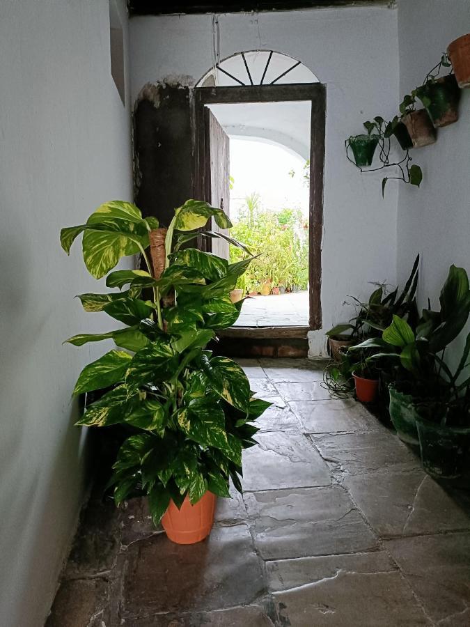 Appartamento Casa Amalfi, Coqueta Casa Centro Historico De Vejer Vejer de la Frontera Esterno foto